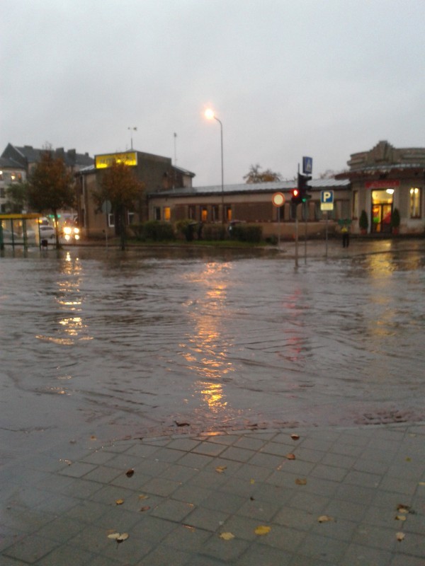 Flushed Away - Jelgava Flushed Away - Jelgava