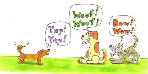 Dogs Dogs