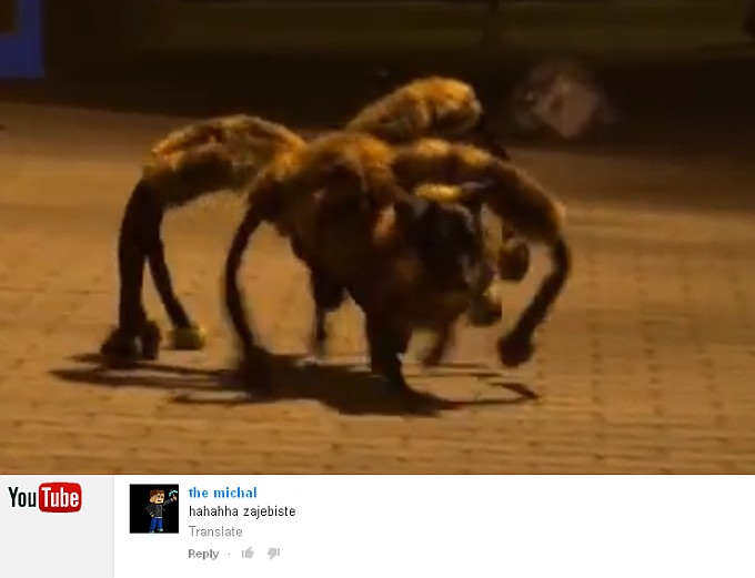 Spider Dog. Made in Poland. Spider Dog. Made in Poland.