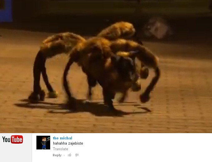 Spider Dog. Made in Poland.