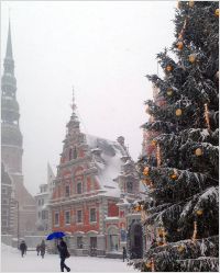 Christmas tree in Riga 2016