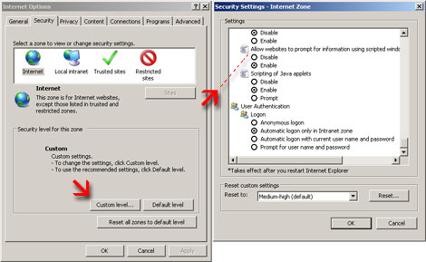 IE7 Enabling Scripted Windows