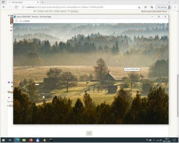Scaling 3005x2000 image on the 1280x1024 screen in popup