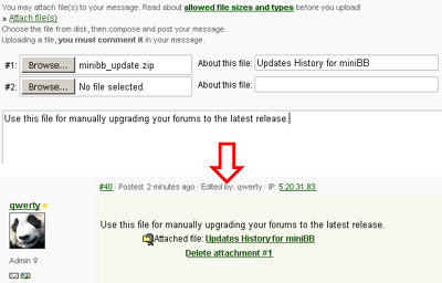 Screenshot of the file upload boxes and a binary package attachment